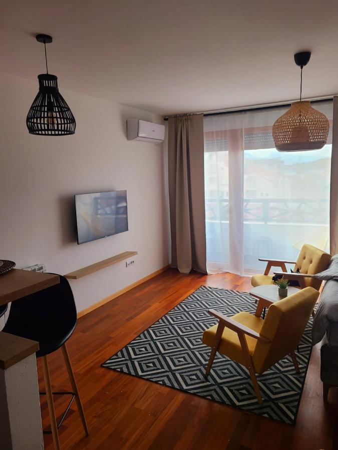 Stan Na Dan Krsmanovic Appartement Čačak Buitenkant foto